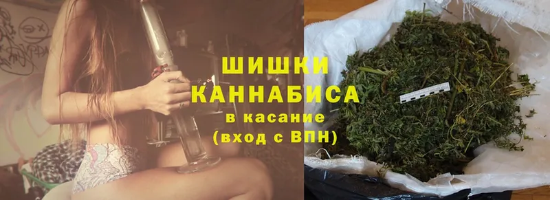 Конопля индика  Курганинск 